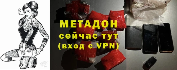 гашик Алексин