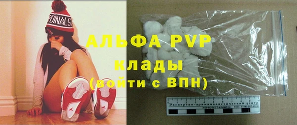 гашик Алексин