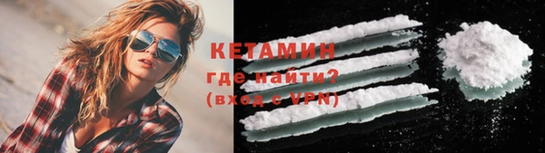 гашик Алексин