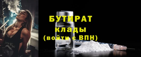 гашик Алексин
